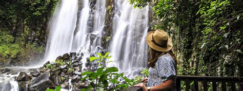 Waterfalls and Rainforest Tour | Cairns Discovery Tours