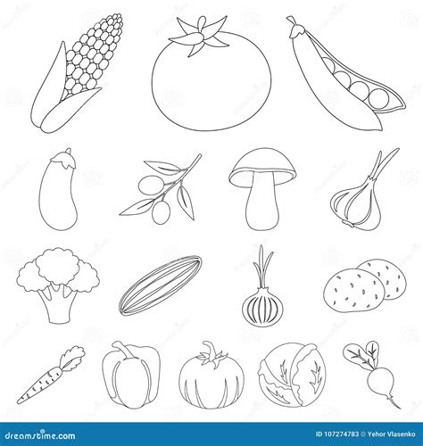 Different Kinds Of Vegetables Outline Icons In Set Stock Vector