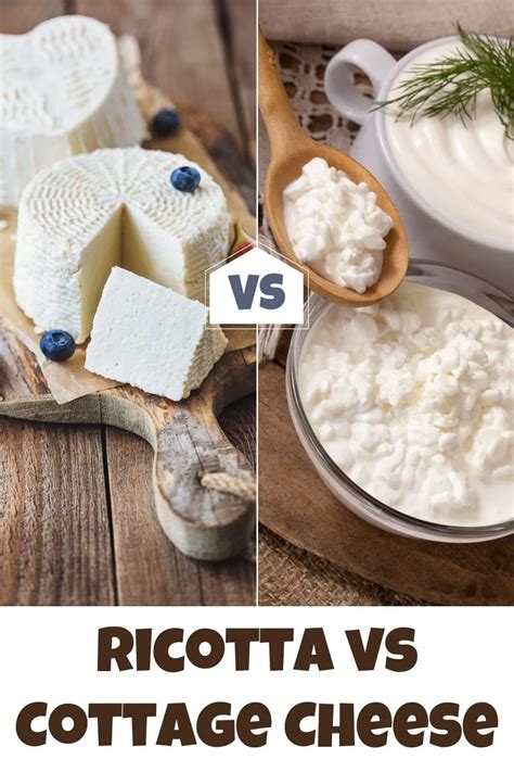 ricotta cheese  cottage cheese yleav