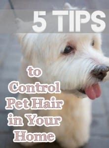 Tips To Control Pet Hair In Your Home How To Build It