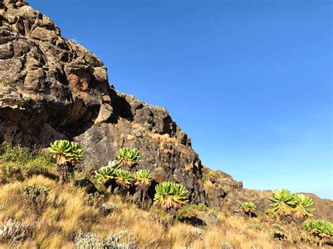 The Ultimate Guide To Climbing Mount Elgon In Uganda