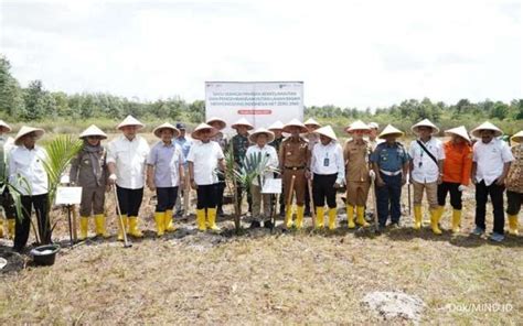 Grup Mind Id Pt Timah Reklamasi Lahan Bekas Tambang Dengan Tanam Pohon