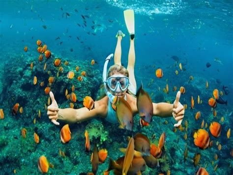 Diving & Snorkeling in Halong Bay - A Must-Try Activity