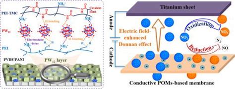 构建基于多金属氧酸盐的电催化纳滤膜去除亚硝酸盐 Journal Of Membrane Science X Mol