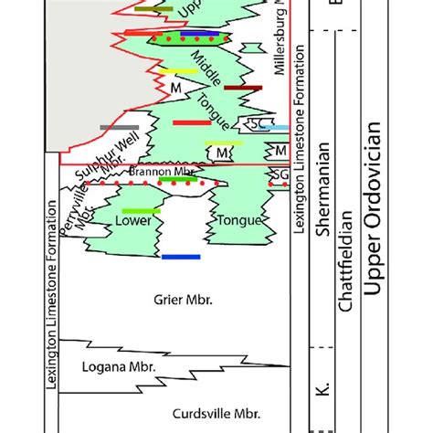 Schematic Stratigraphic Column Of The Lexington Limestone Showing The