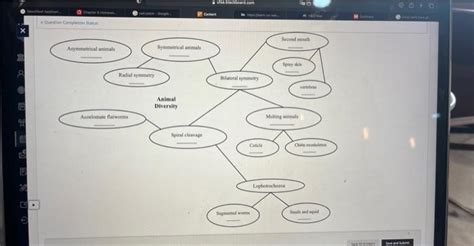 Solved Use this animal diversity concept map to help you | Chegg.com