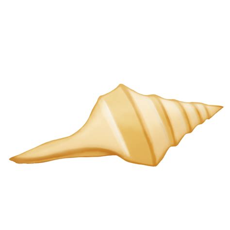 A Conch Shell 44805432 Png