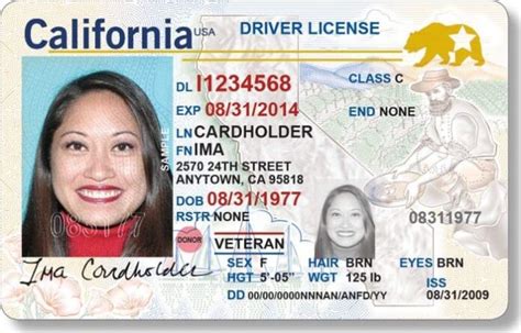 Fake Drivers License For Roblox Infonuz