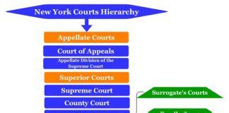 New York Court System Structure Chart