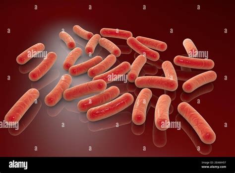 Bacteria E Coli Eschericia Ehec 3d Stock Illustration 41 Off