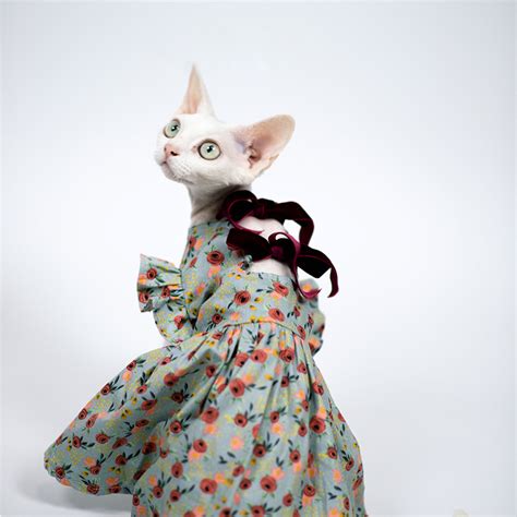 Vintage Cat Dress – Sphynx Hairless Cat Cute Summer Cotton Cat Clothes ...