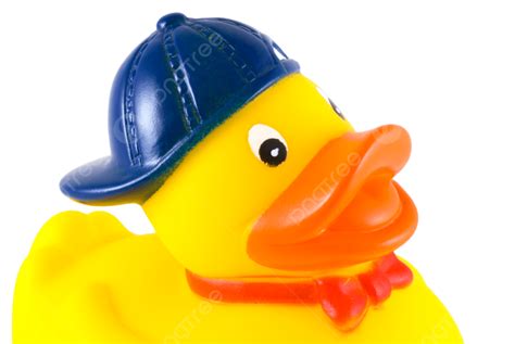 Funny Rubber Duck Toy, Fun, Isolated, Duck PNG Transparent Image and Clipart for Free Download