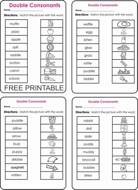 Double Consonant Words Worksheets Free Printable Pdf