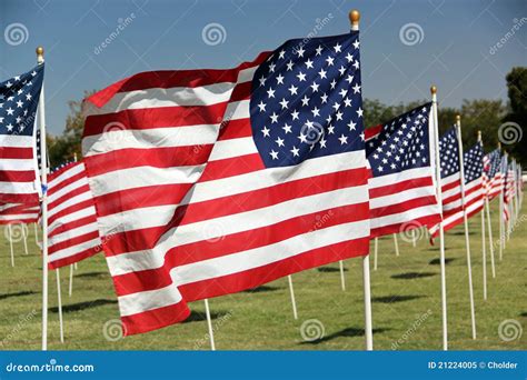 Fileiras De Bandeiras Americanas Imagem De Stock Imagem De Americano