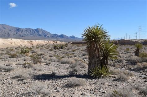 In the Badlands of the Tule Springs Fossil Beds National Monument ...