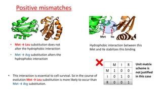 PAM : Point Accepted Mutation | PPT