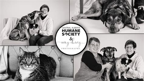 Black And White Photo Sessions With Your Pets Central Alberta Humane