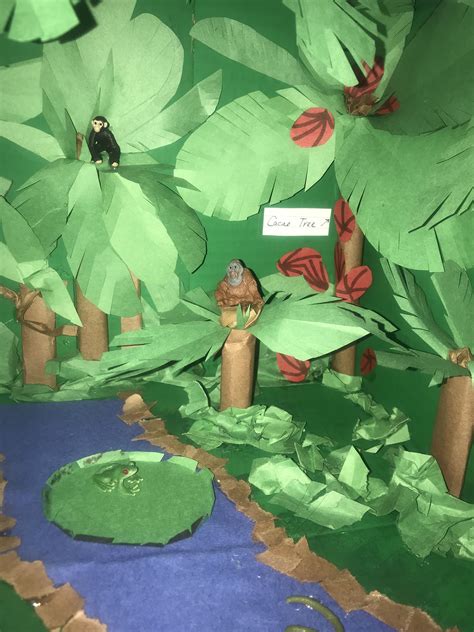 Tropical Rainforest Diorama Rainforest Project Rainforest Diorama