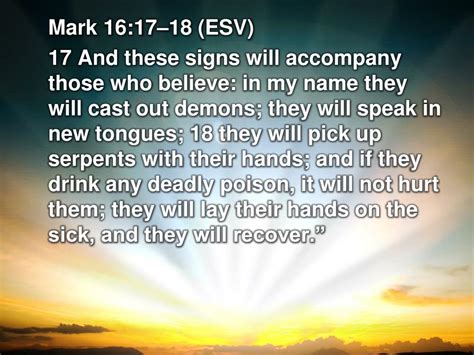 Powerful Verbal Prophecy Signs Follow Believers Prophetic Light