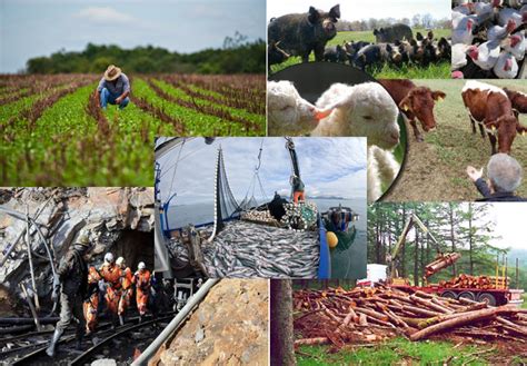 Las Actividades Economicas Agricultura Minera­a Ganadera­a Y Comercio