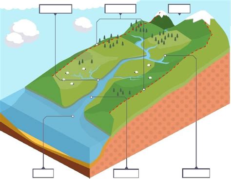 Diagram of Drainage Basin | Quizlet