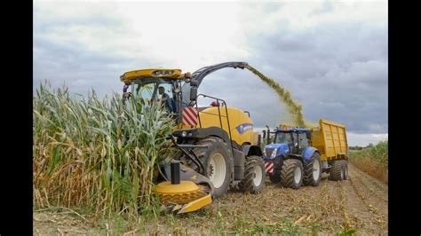 Mais Hakselen Door Agro Lissens New Holland Fr 500 New Holland T7