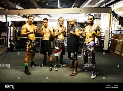 Usa Oahu Hawaii Professional Boxers And Mma Mixed Martial Arts