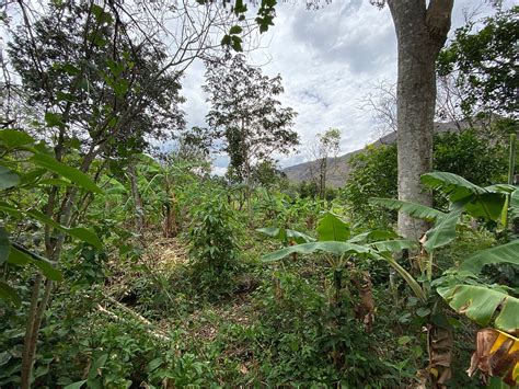 Vilcabamba | Abundant Living Ecuador