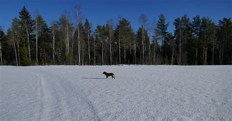 Yana Freyja och Lexus Räknar fortfarande till en