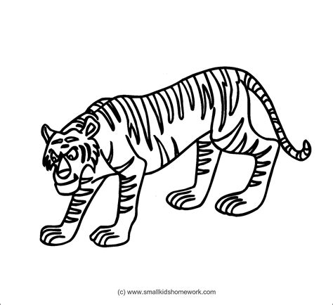 Tiger Outline Drawing - ClipArt Best