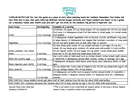 Quick Reference Toddler Nutrition Guide