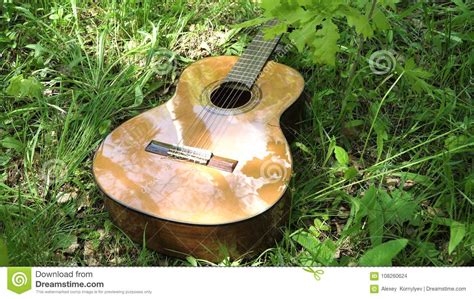 Acoustic Guitar In The Woods Stock Photo Image Of Music Garden