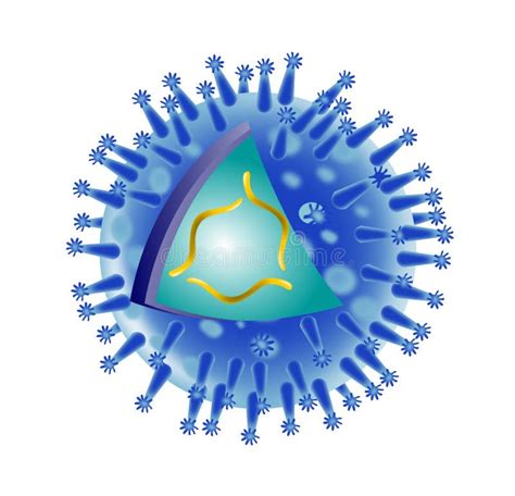 Influenza Flu Virus Structure Stock Illustration Illustration Of Epidemic Gene 9252631