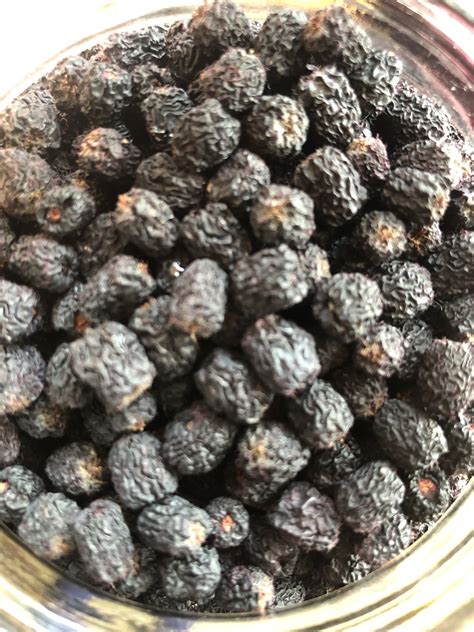 Dried Aronia Berries