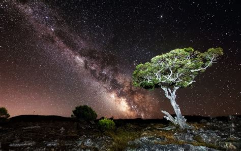 Fondos De Pantalla Rboles Paisaje Noche Galaxia Estrellas V A