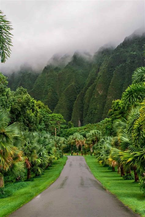 7 Day Oahu Itinerary: A Week (or Less!) in Paradise [2025] - Uprooted ...