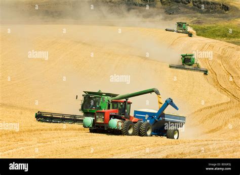 Weizen Auf Dem Wagen Fotos Und Bildmaterial In Hoher Aufl Sung Alamy