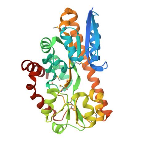 RCSB PDB 4PFR CRYSTAL STRUCTURE OF A TRAP PERIPLASMIC SOLUTE BINDING