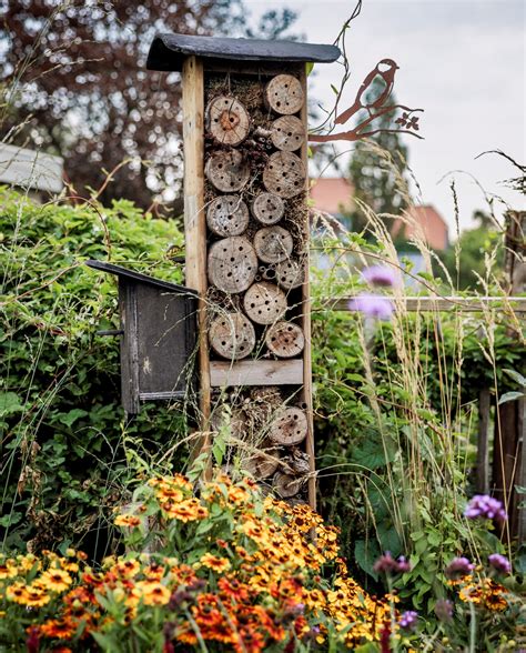 Buitenkijken Dit Is De Tuin Van Tuinexperts Vivian En Mark