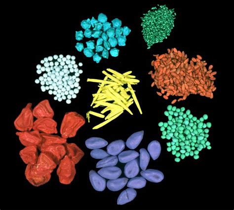 Seed Technology And Testing Film Coated Seeds