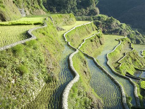 Batad Rice Terraces