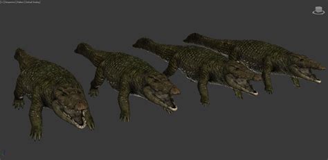 3d Model Realistic Crocodile Alligator Vr Ar Low Poly Rigged Animated Cgtrader