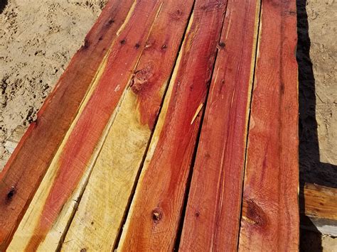 Eastern Red Cedar 1x 4 12x 9 2 6 Board Bundle