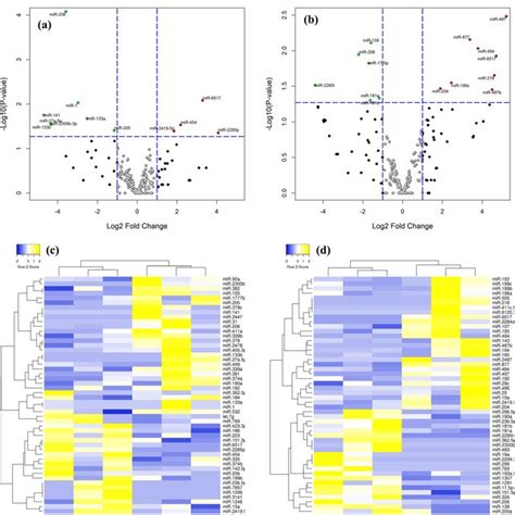 Volcano Plot Representing Microrna Mirna Expression Level In Uh Vs