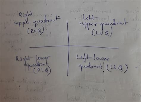 [Solved] Right Hypochondriac Epigastric Region Left Hypochondriac ...