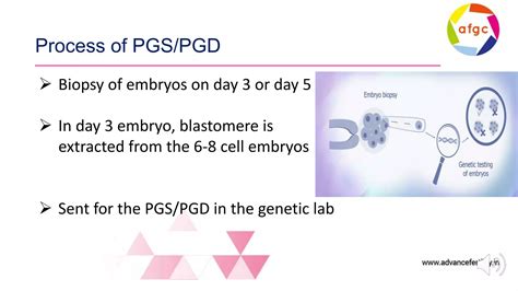 Preimplantation Genetic Diagnosis Pgd Screening Pgs With Ivf Ppt