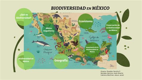 Biodiversidad Mexico Lo Natura Mapa De Mexico La Biodiversidad Y