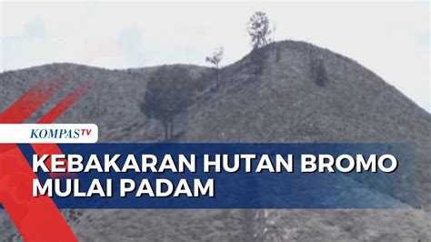 Karhutla Di Bukit Teletubbies Bromo Berhasil Dikendalikan Api