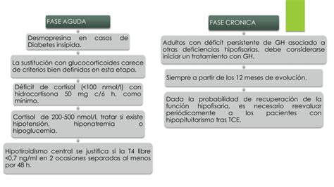 Hipopituitarismo Traumatismo Craneoencefalico Ppt