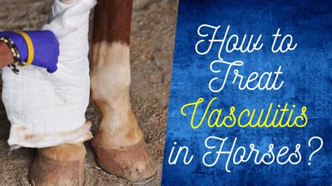 How To Treat Vasculitis In Horses The Livestock Expert